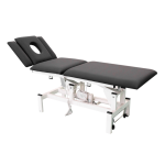 D4-2 Electric massage bed