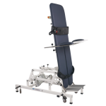 DHC-II Electric upright bed